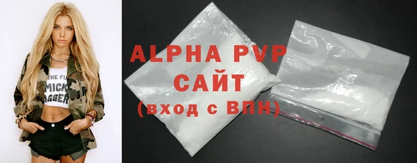 стаф Алексин