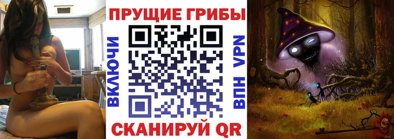 Псилоцибиновые грибы мицелий  Жуков 