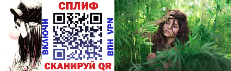 Конопля планчик  Жуков 